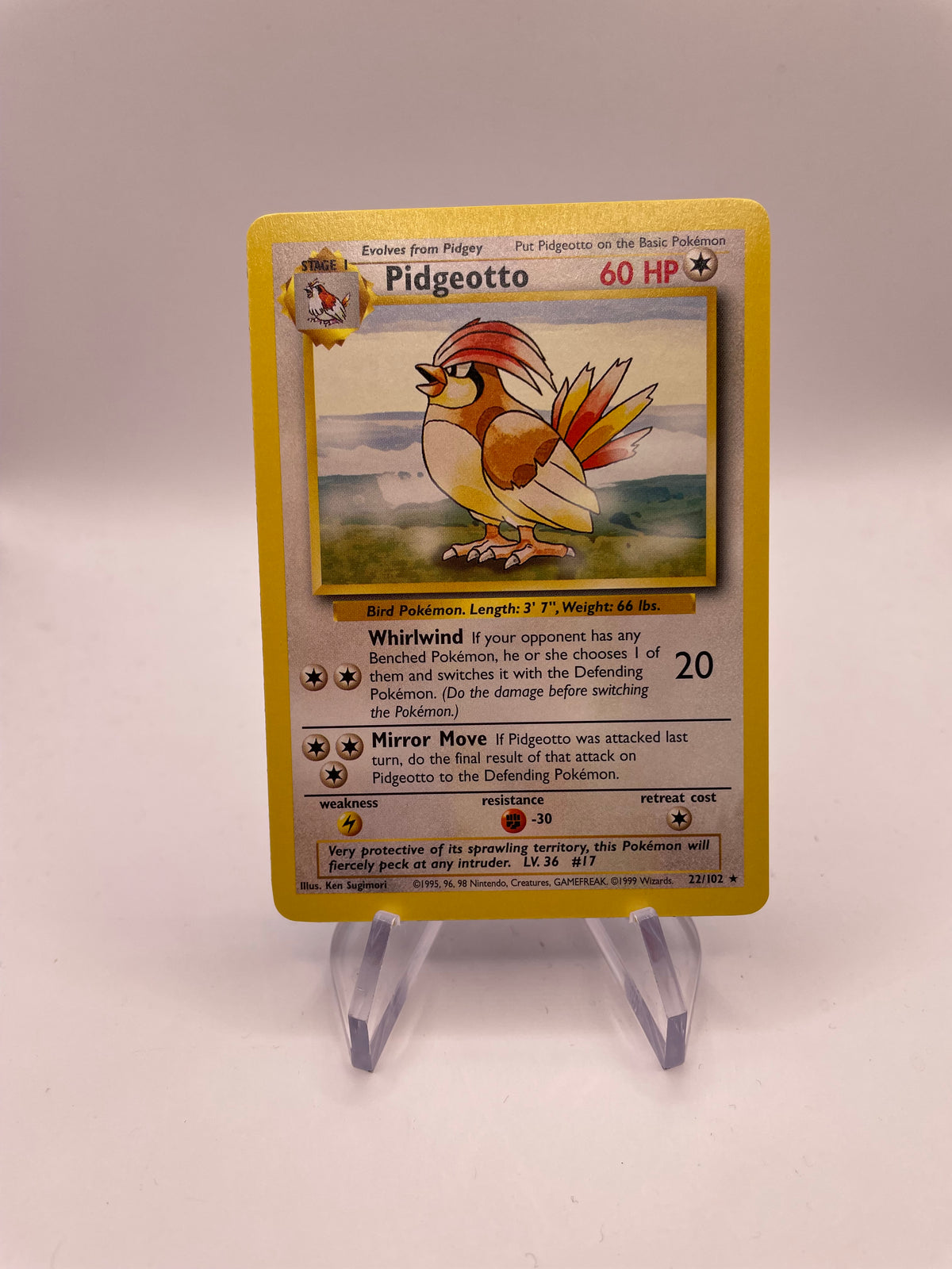 Pokemon Karte Base Set Pidgeotto 22/102 Englisch