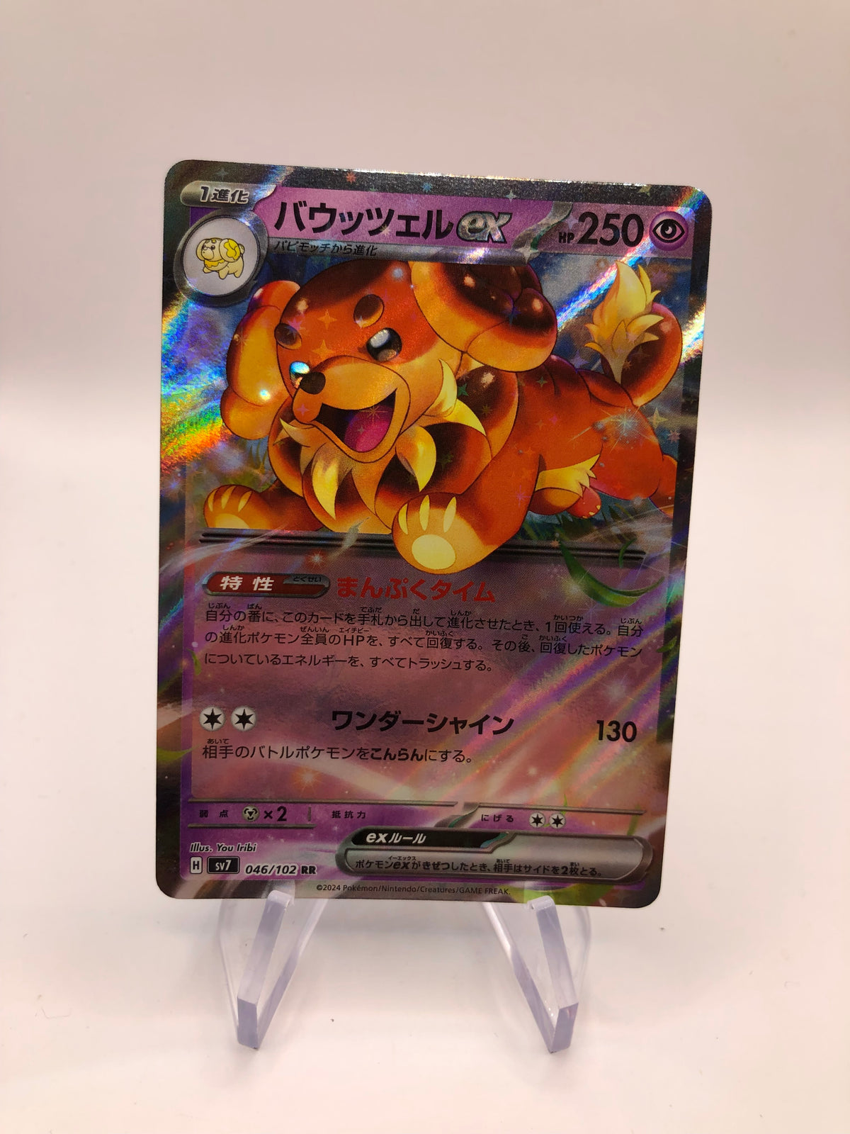 Pokemon Karte Ex Dachsbun 46/102 Japanisch