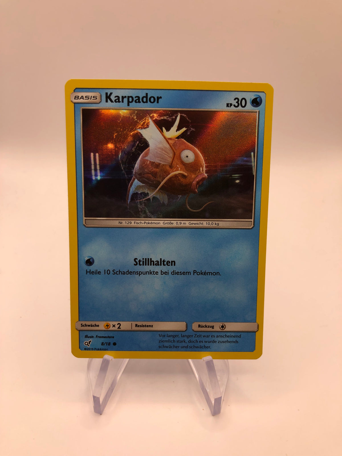 Pokemon Karte Holo Karpador 8/18Deutsch
