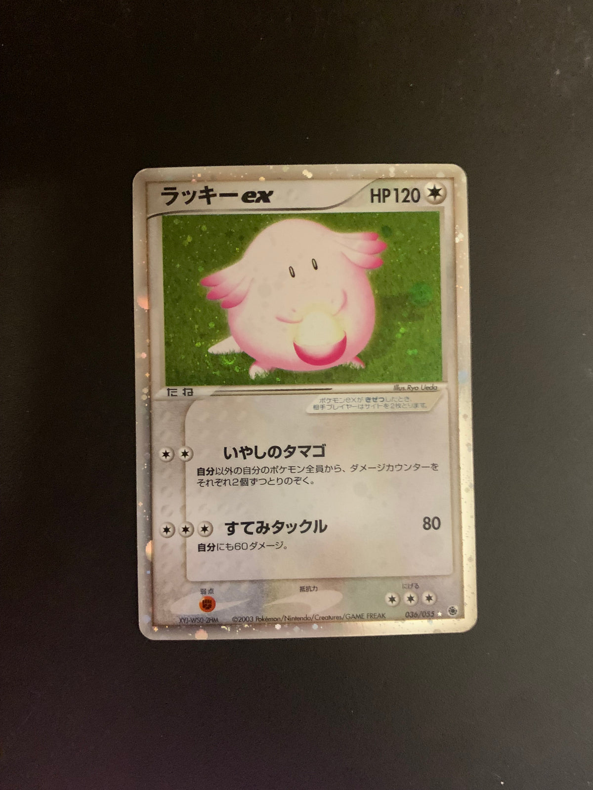 Pokemon Karte EX Holo Chaneira 36/55 Japanisch