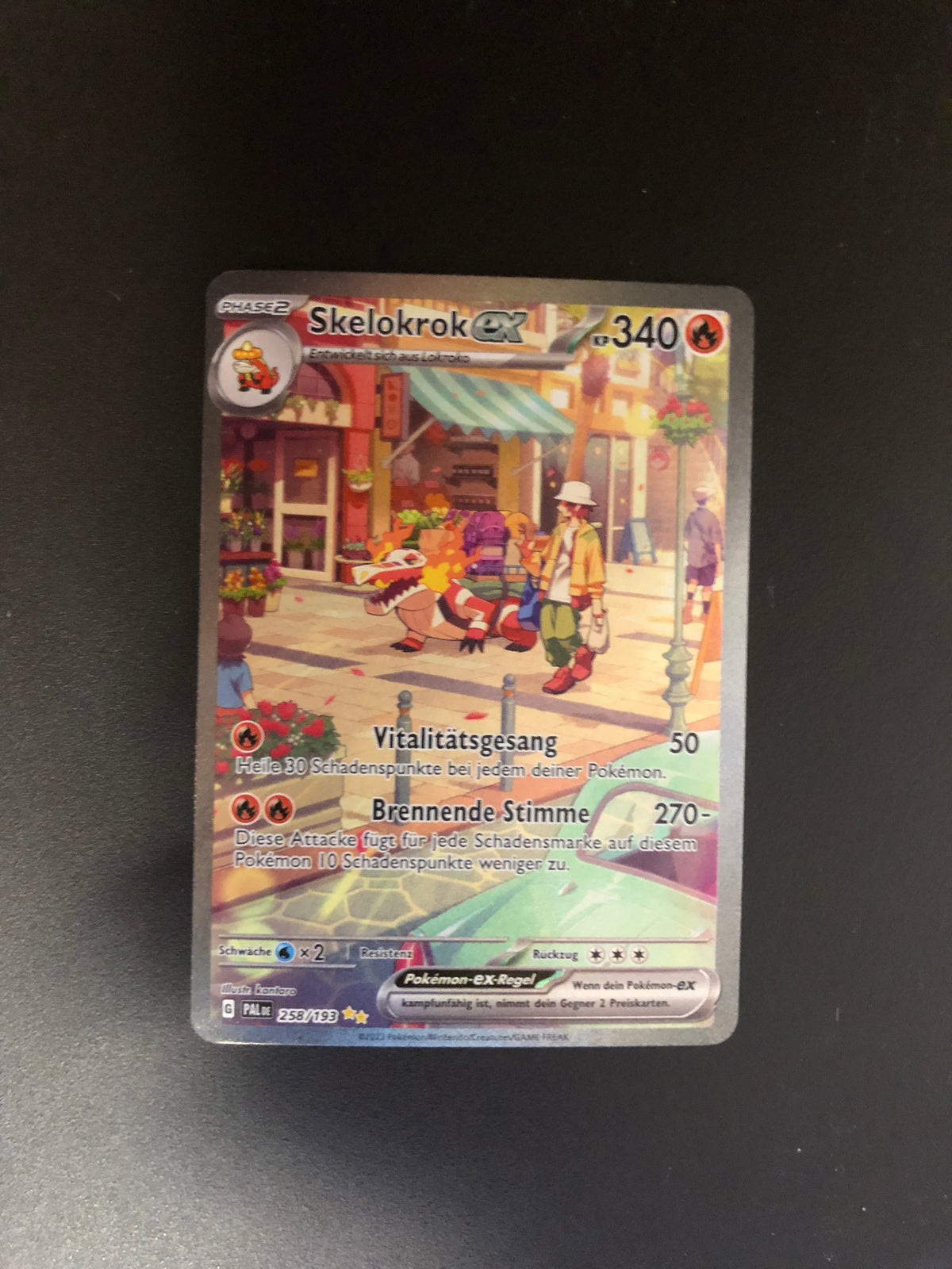 Pokemon Karte EX Alt Art Skelokrok 258/193 Deutsch