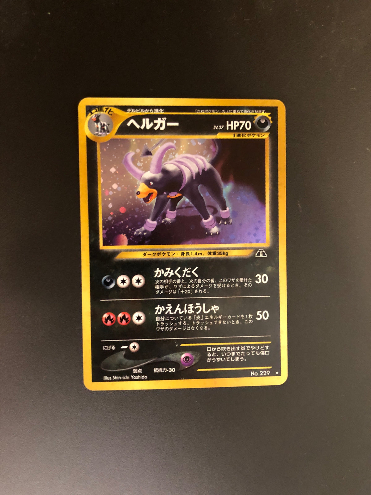 Pokemon Card Holo Dogmon No.229 Japanese
