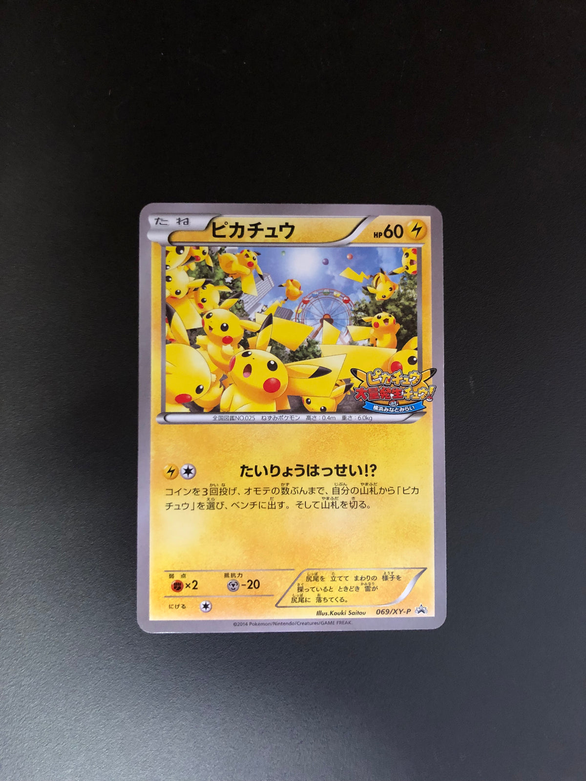 Pokemon Karten Promo Pikachu 69/XY-P Japanisch