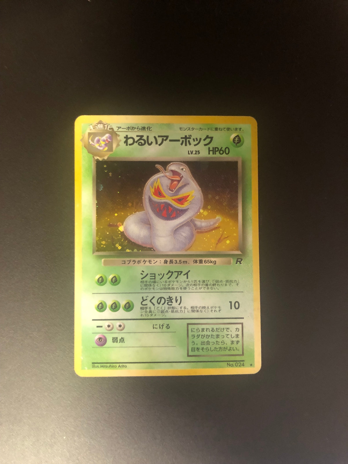 Pokemon Karte Holo Arbok No.24 Japanisch