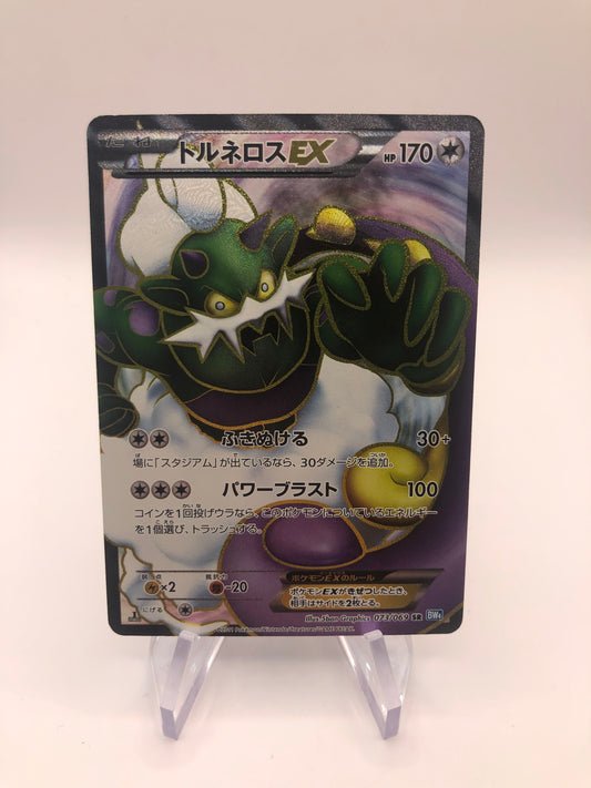 Pokemon Karte EX Fullart Boreos 73/69 Japanisch