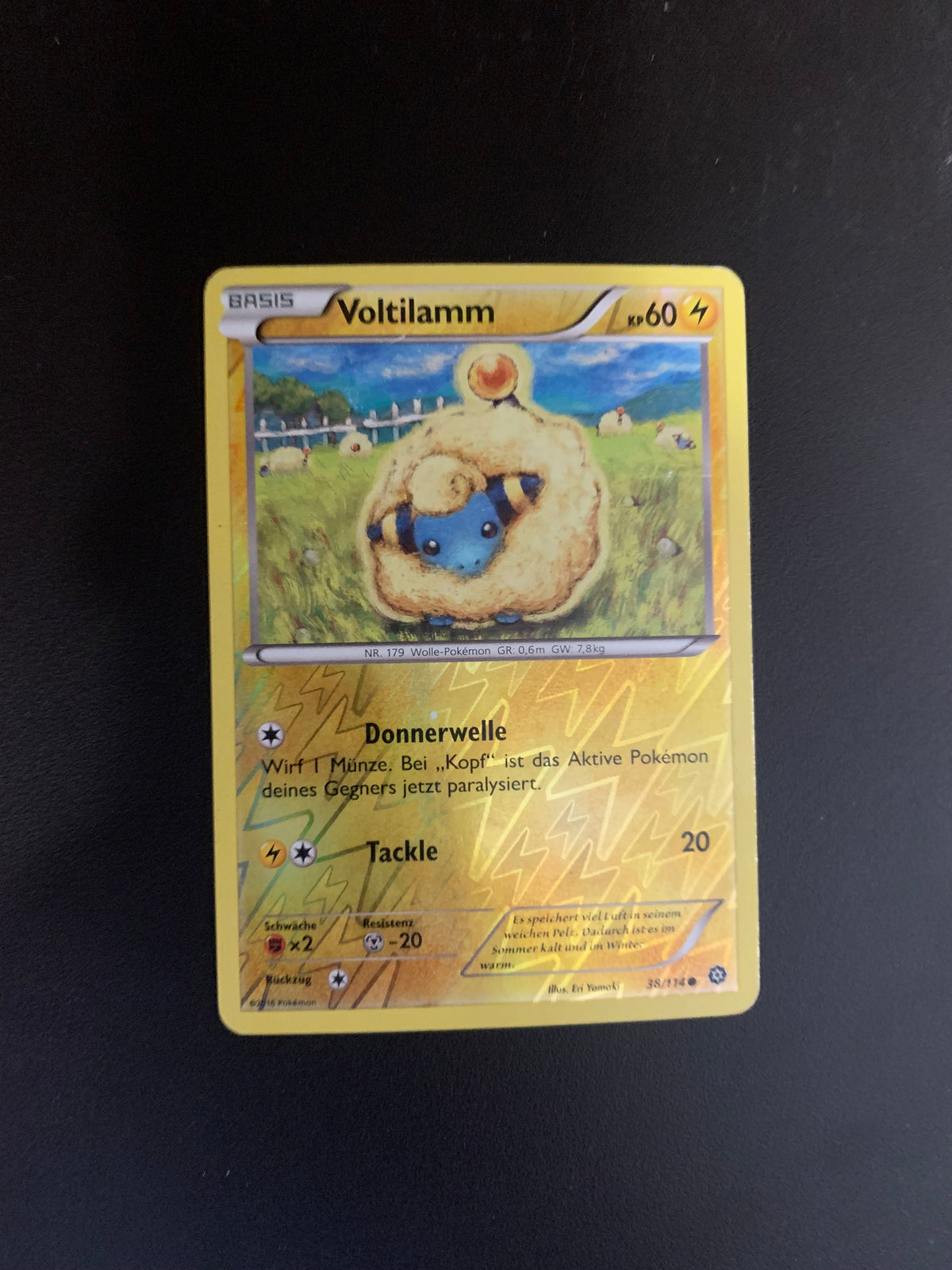 Pokemon Karte Revers Voltilamm 38/114 Deutsch