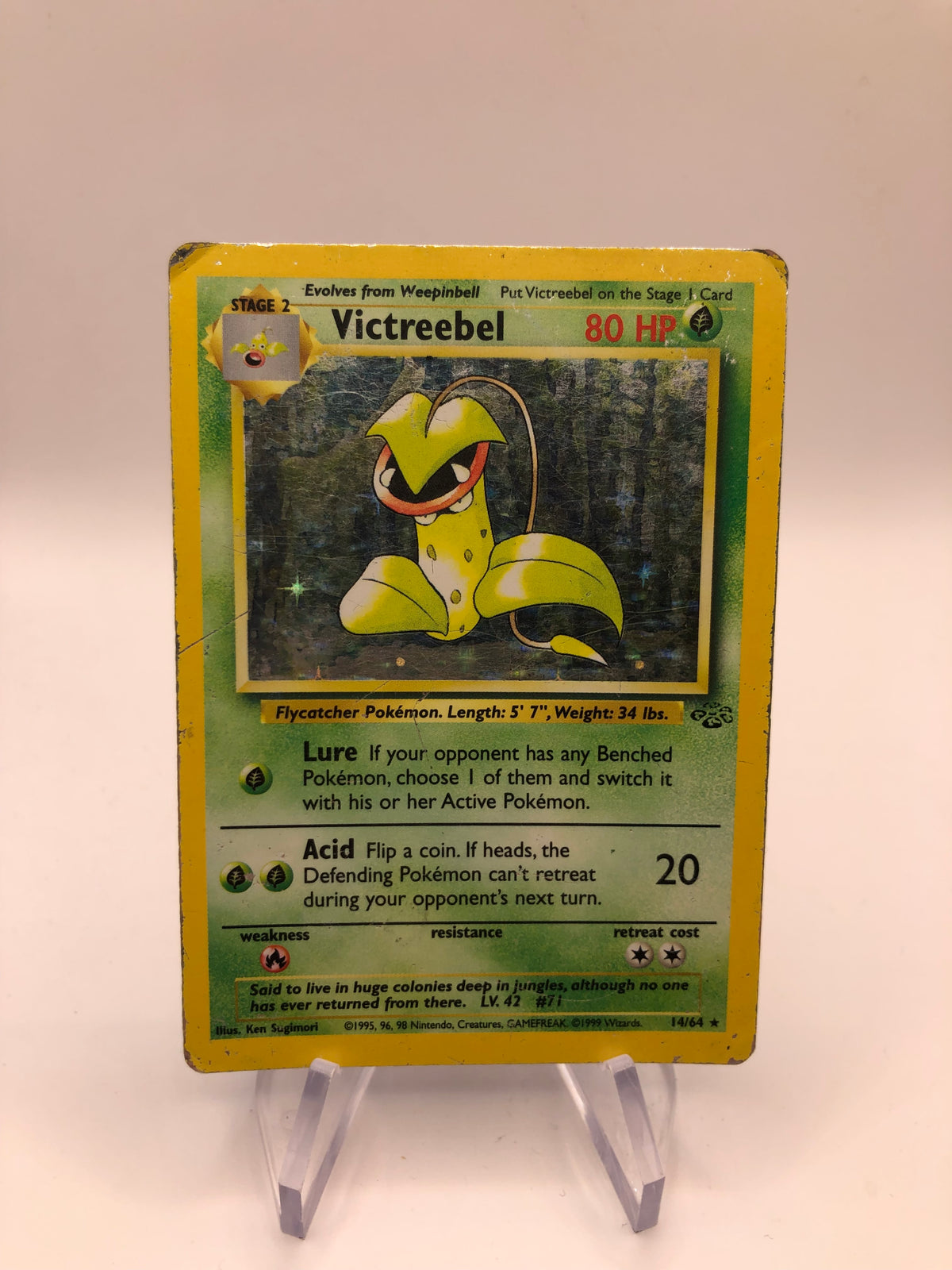Pokemon Karte Holo Sarzenia 14/64 Englisch