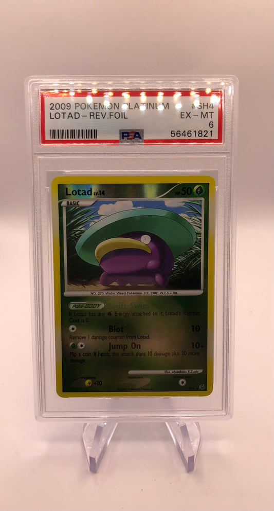 Pokemon Karte Shiny Psa 6 Loturzel SH6 Englisch