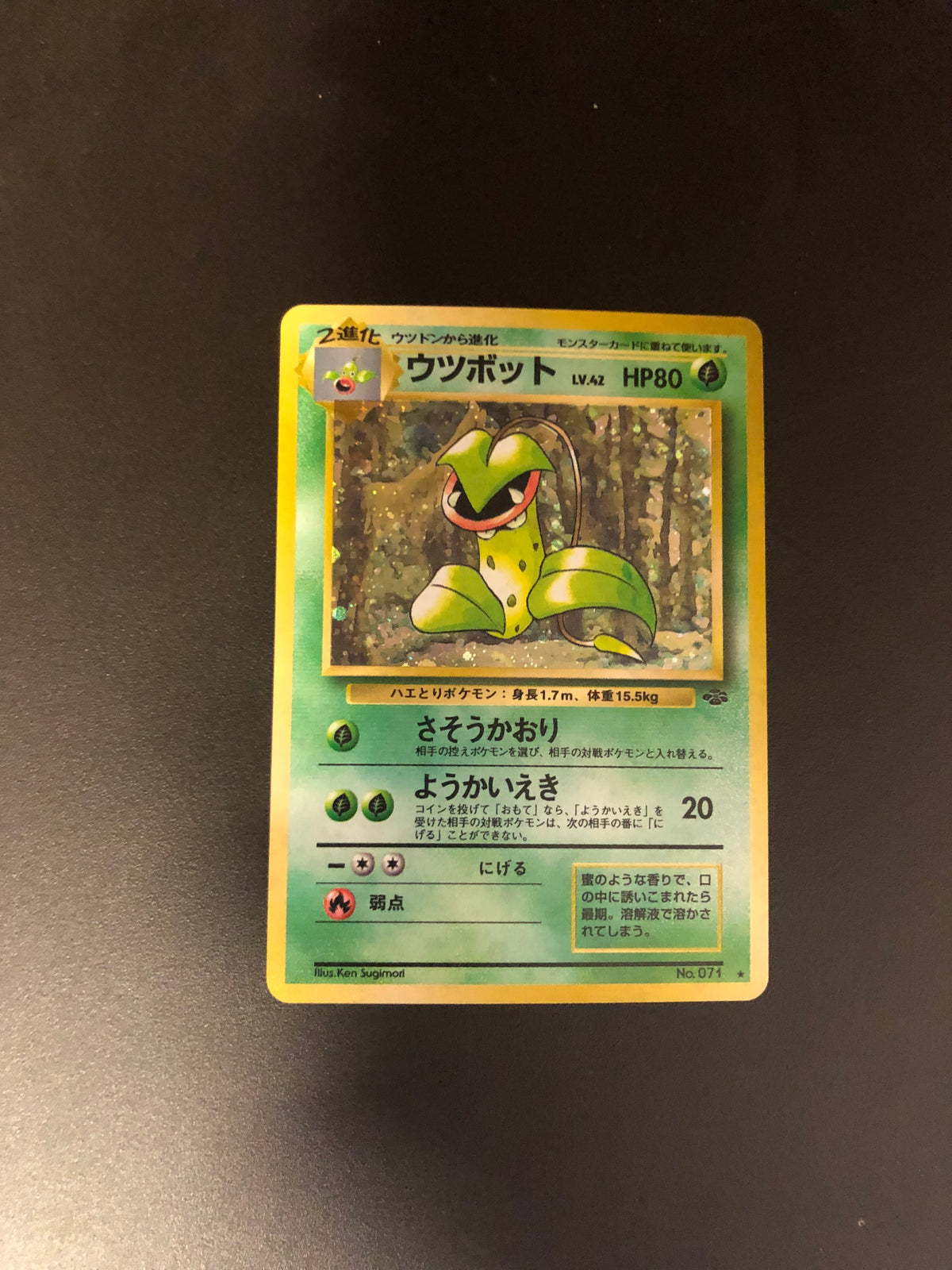 Pokemon Karte Holo Sarzenia No.71 Japanisch