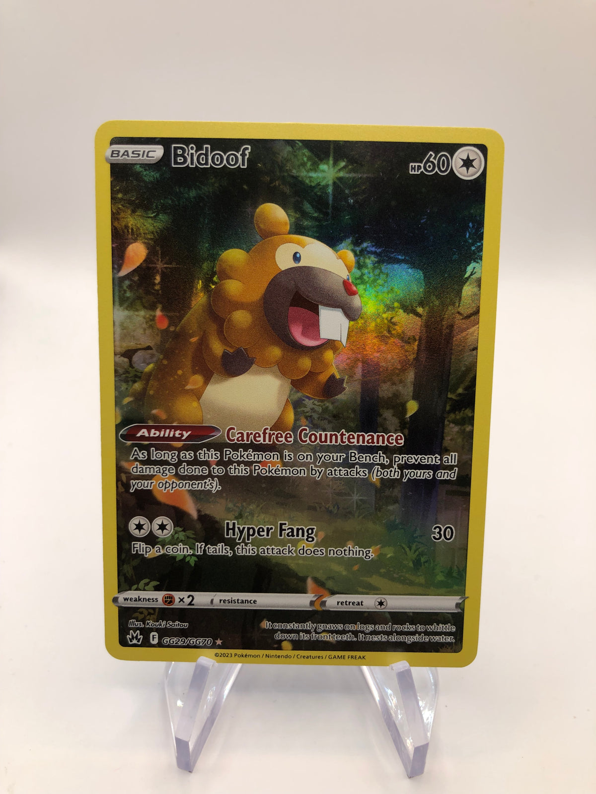 Pokemon Karte Art-Rare Bidoof GG29/GG70 Englisch