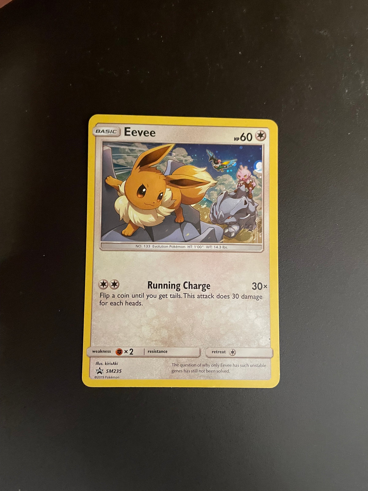 Pokemon Karte Holo Promo Evoli SM235 Englisch