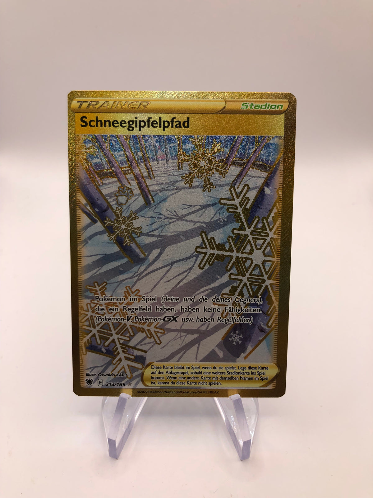 Pokemon Karte Gold Trainer Schneegipfelpfad 213/189 Deutsch