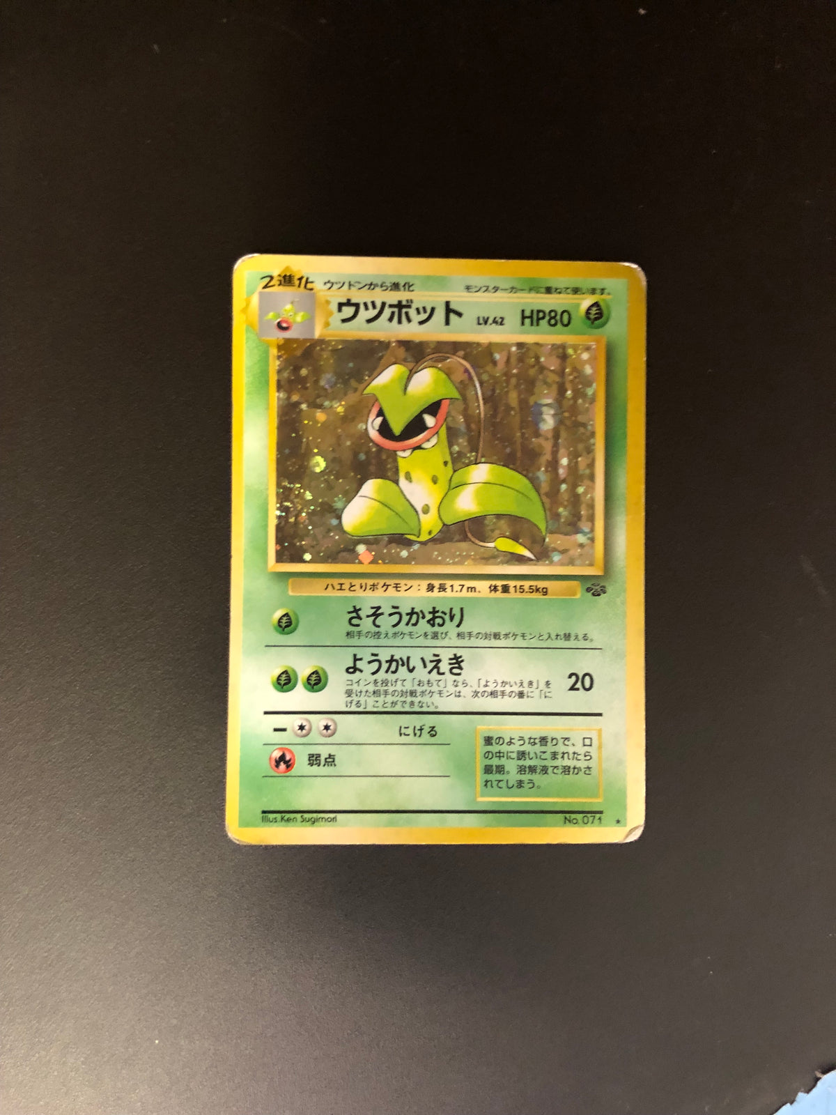 Pokemon Karte Holo Sarzenia No.71 Japanisch