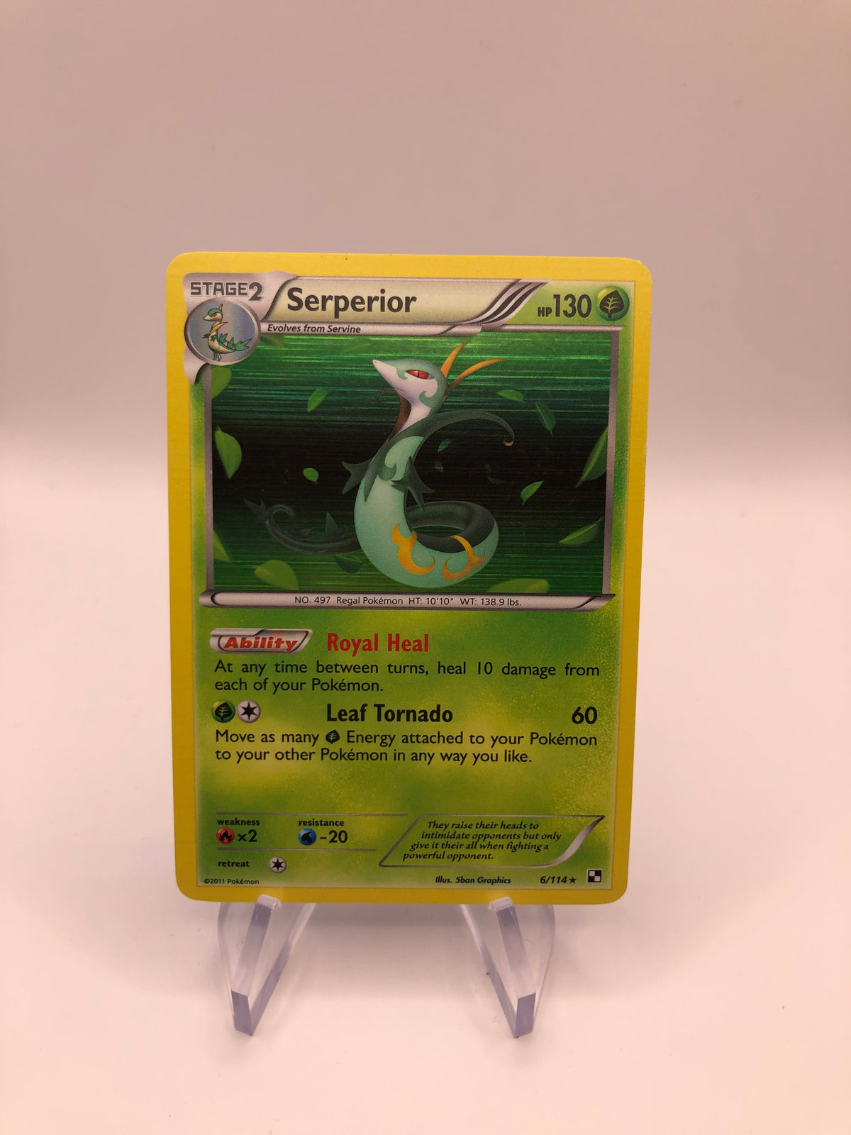Pokemon Karte Holo Serperior 6/114 Englisch