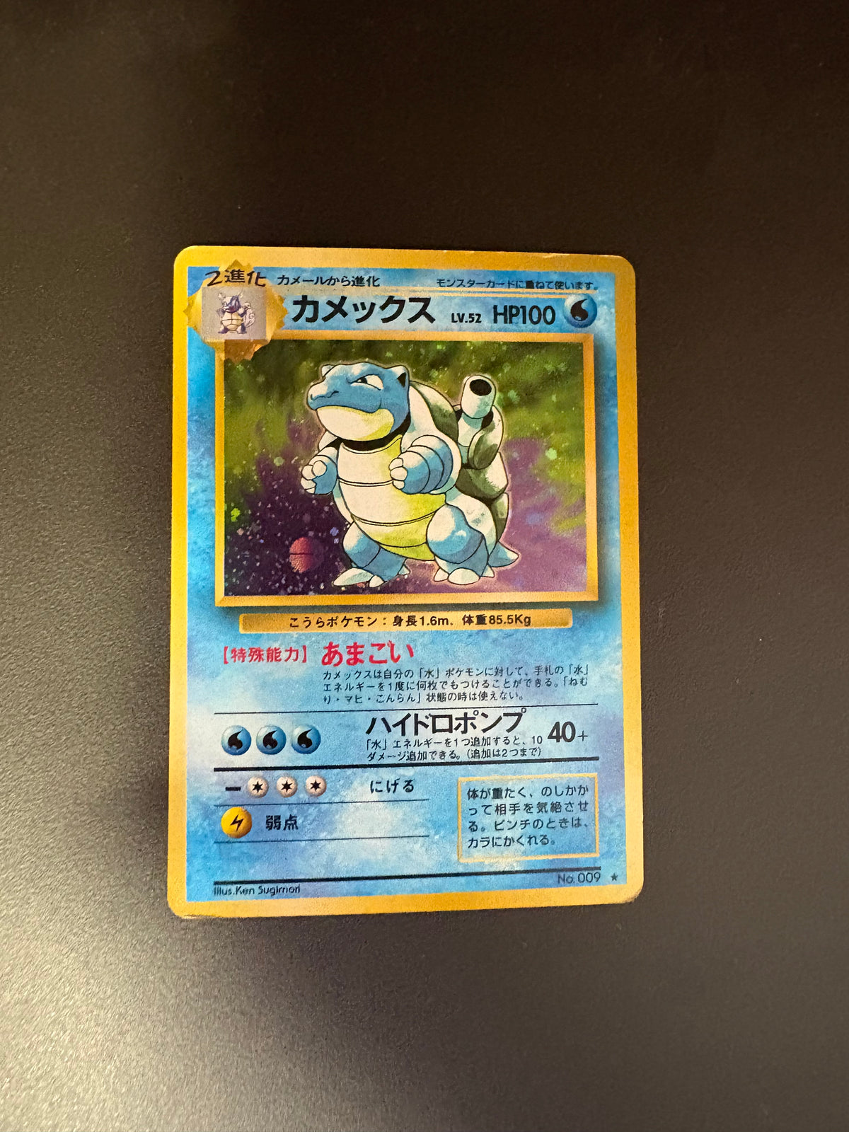 Pokemon Karte Holo Dunkles Turtok No.009 Japanisch