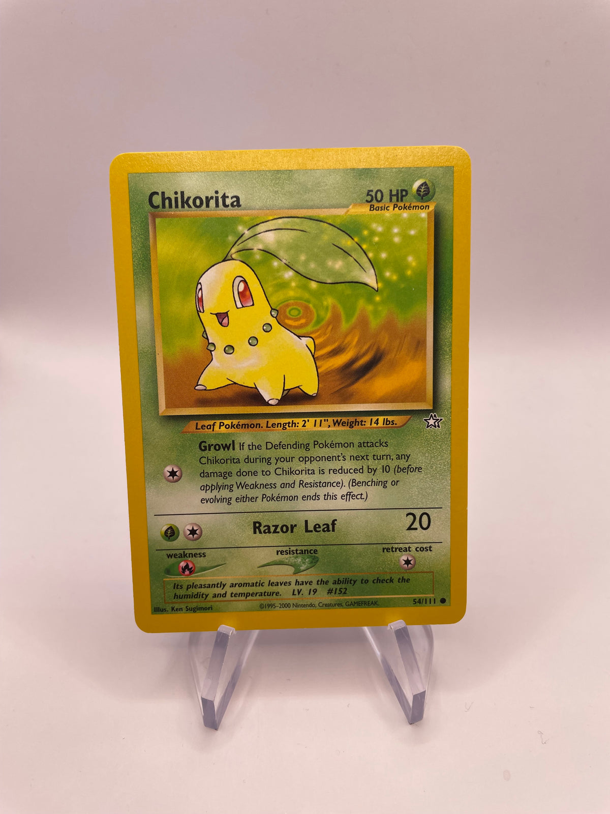 Pokemon Karte Endivie Neo Genesis 54/111 Englisch