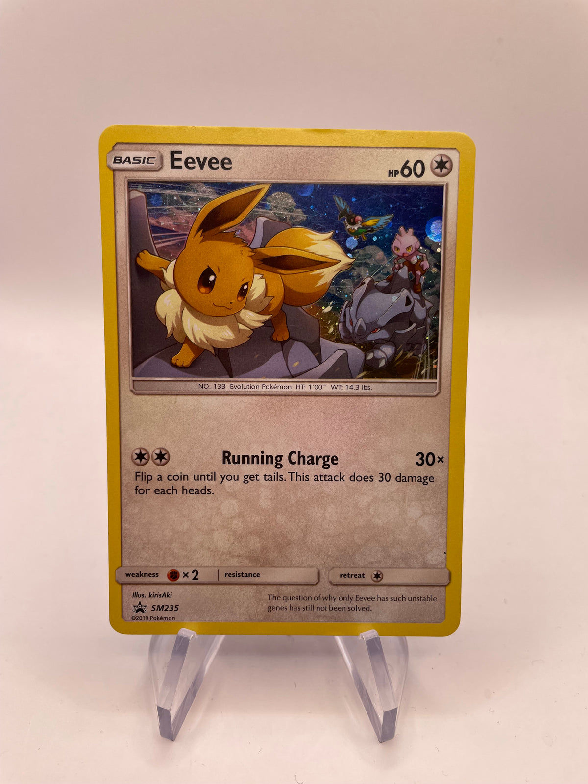 Pokemon Karte Holo Promo Evoli SM235 Englisch