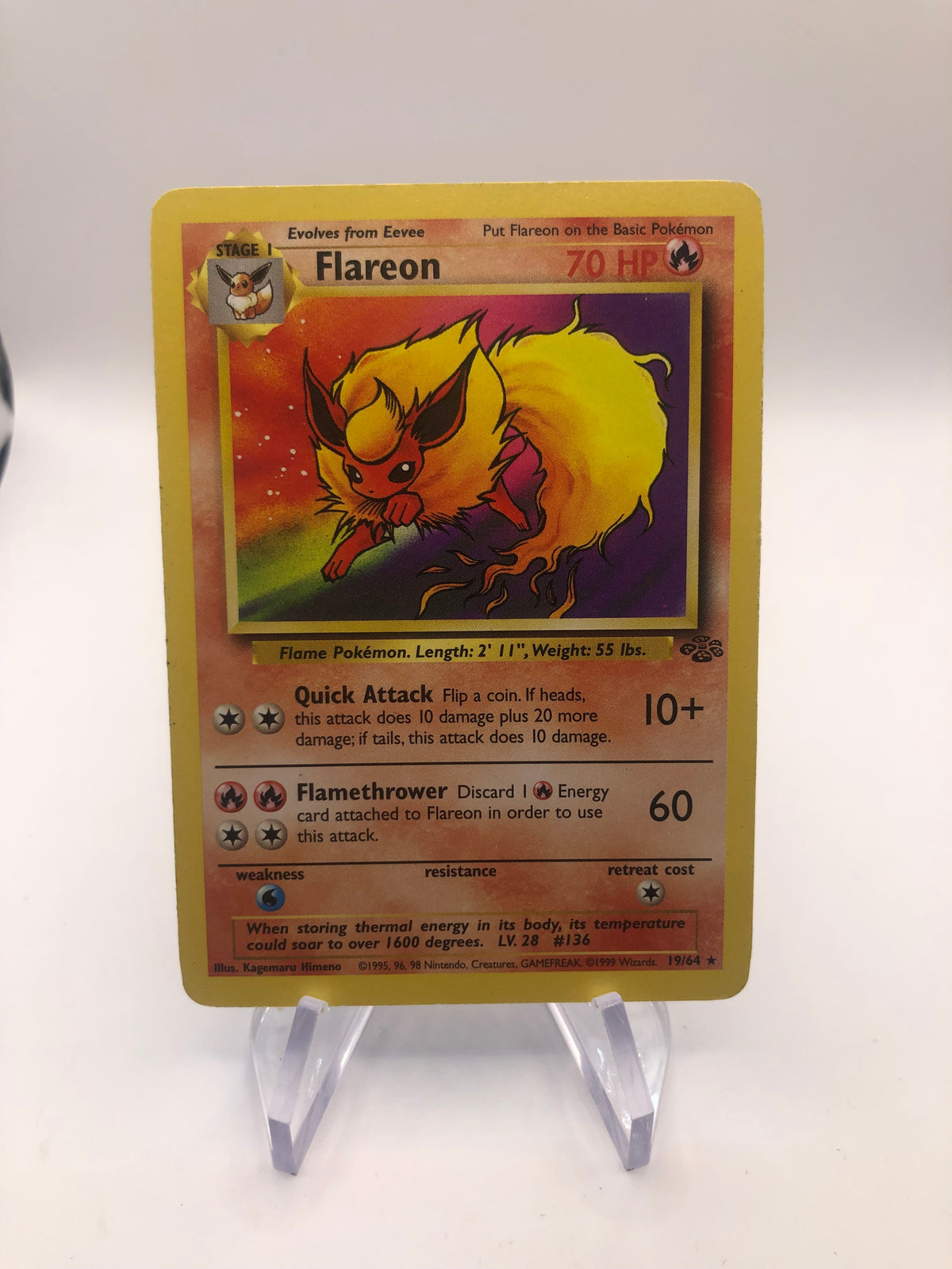 Pokemon Karte Jungel Flamara 19/64 Englisch