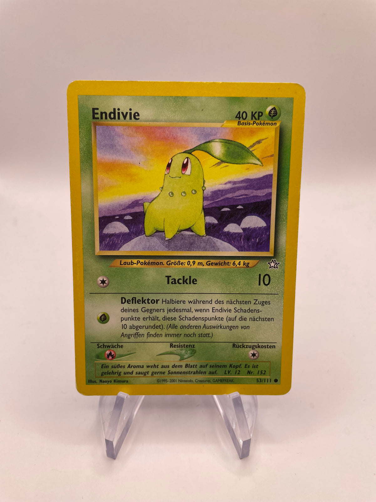Pokemon Karte Neo Genesis Endivie 53/111 Deutsch