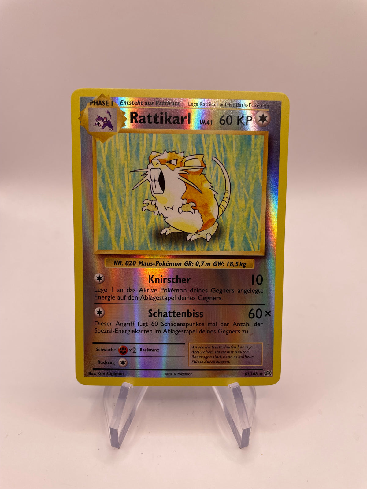 Pokemon Karte Revers Rattikarl 67/108 Deutsch