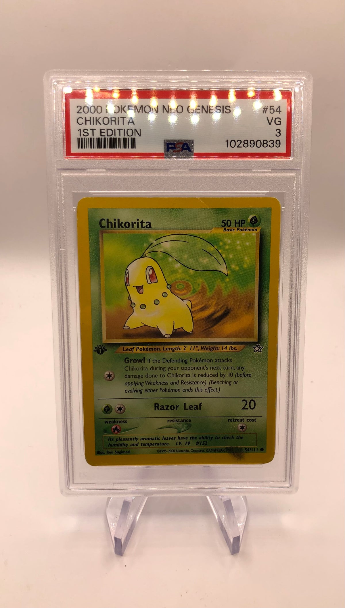 Pokemon Karte PSA 3 1.Edition Endivie 54/111 Englisch