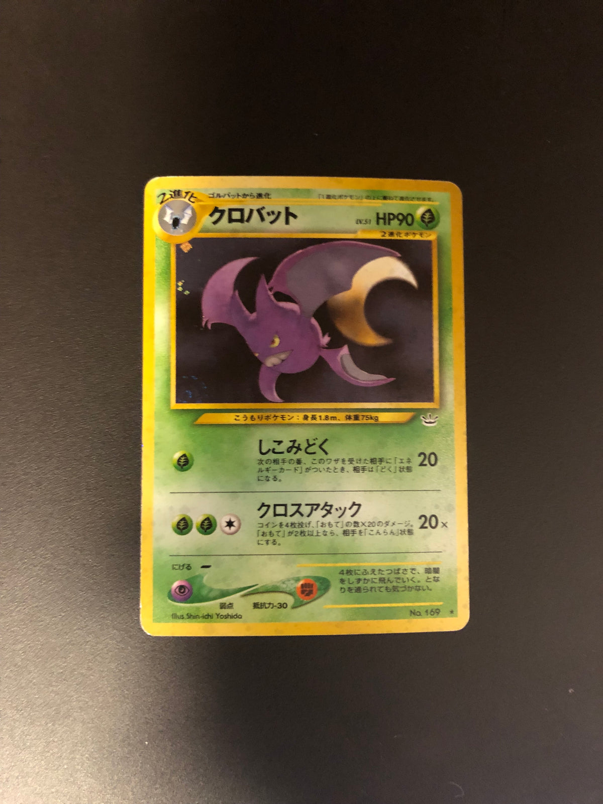 Pokemon Karte Holo Iksbat No.169 Japanisch