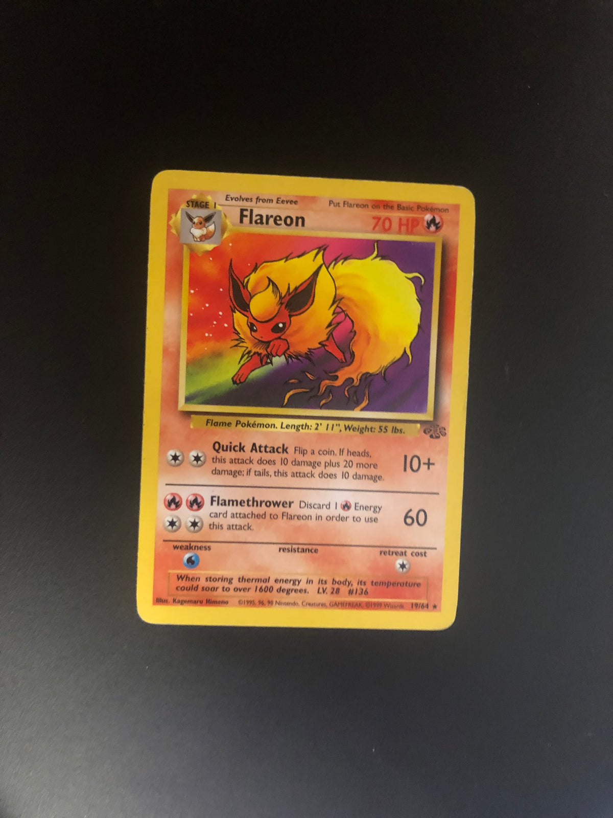 Pokemon Karte Jungel Flamara 19/64 Englisch
