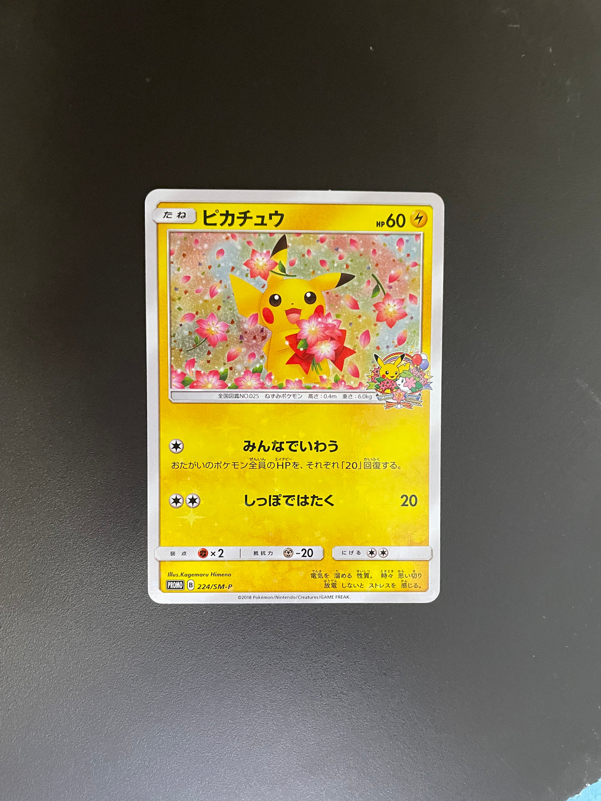 Pokemon Karte Promo Holo Pikachu 224/SM-P Japanisch
