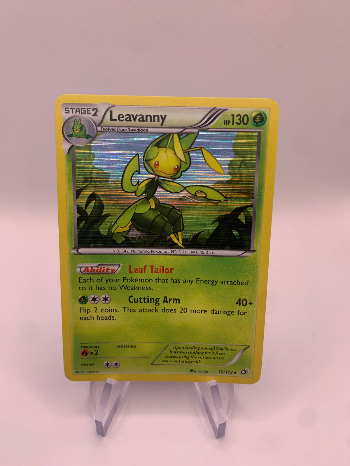 Pokemon Karte Holo Matrifol 12/113 Englisch