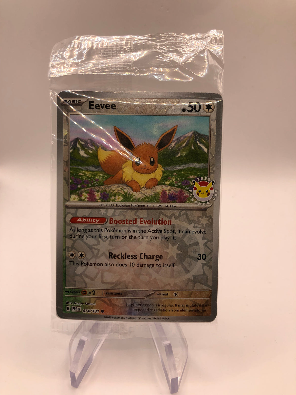 Pokemon Karte Revers Evoli 74/131 Englisch