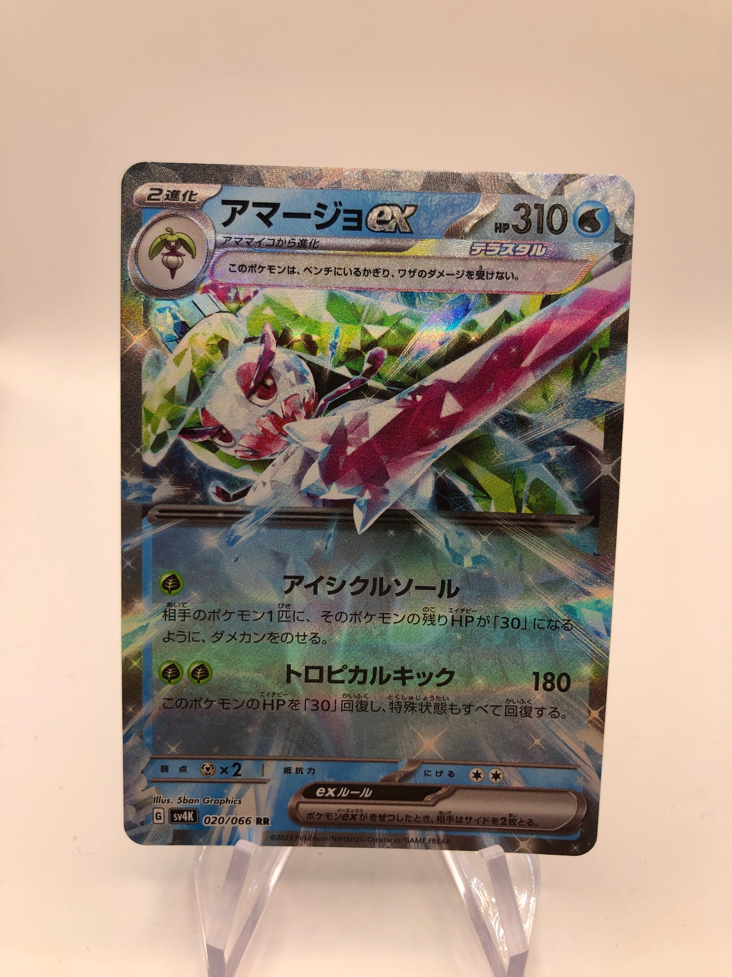 Pokemon Karte Ex Fruyal 20/66 Japanisch