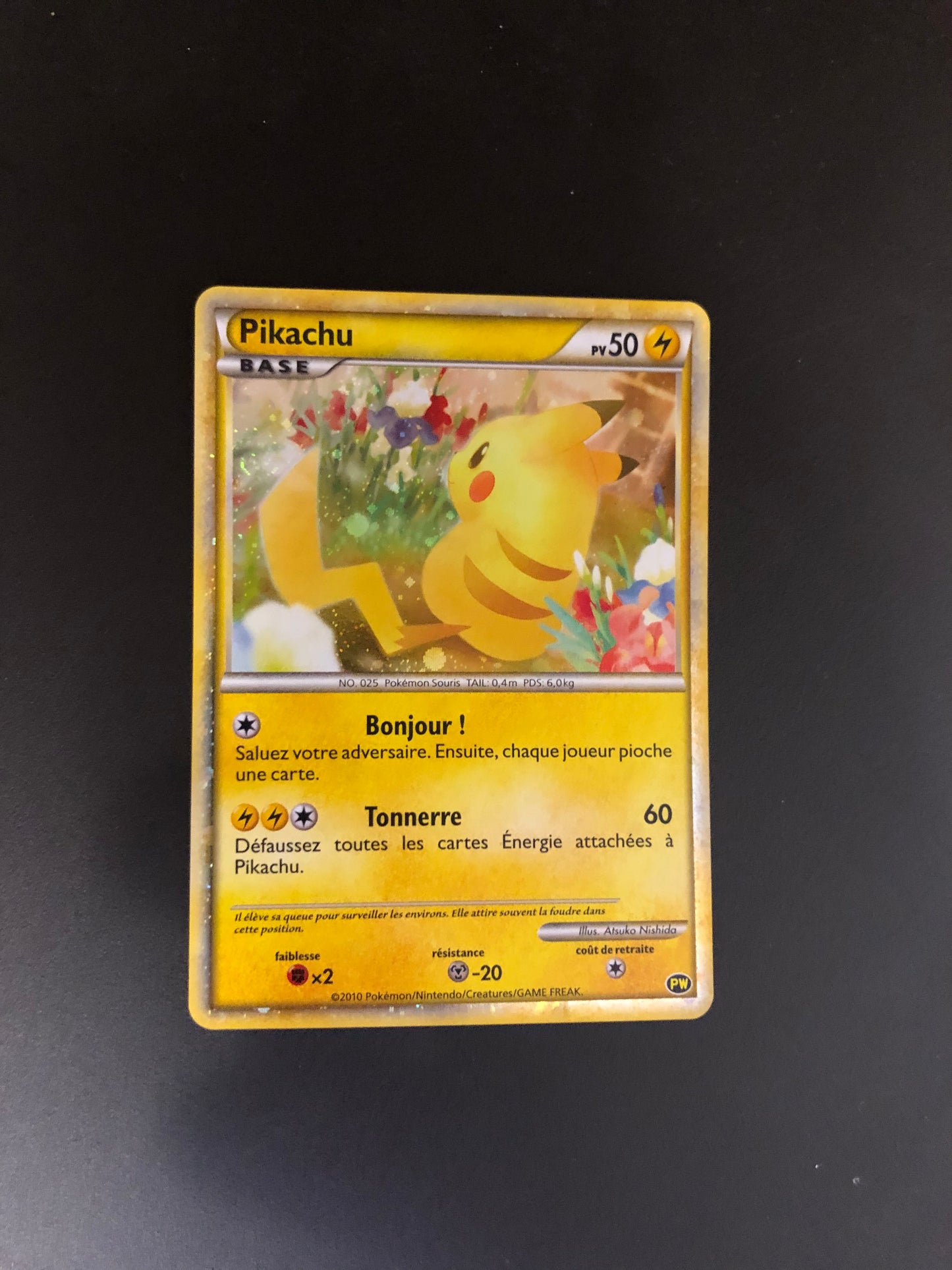 Pokemon Karte World Collection Pikachu PW Französisch