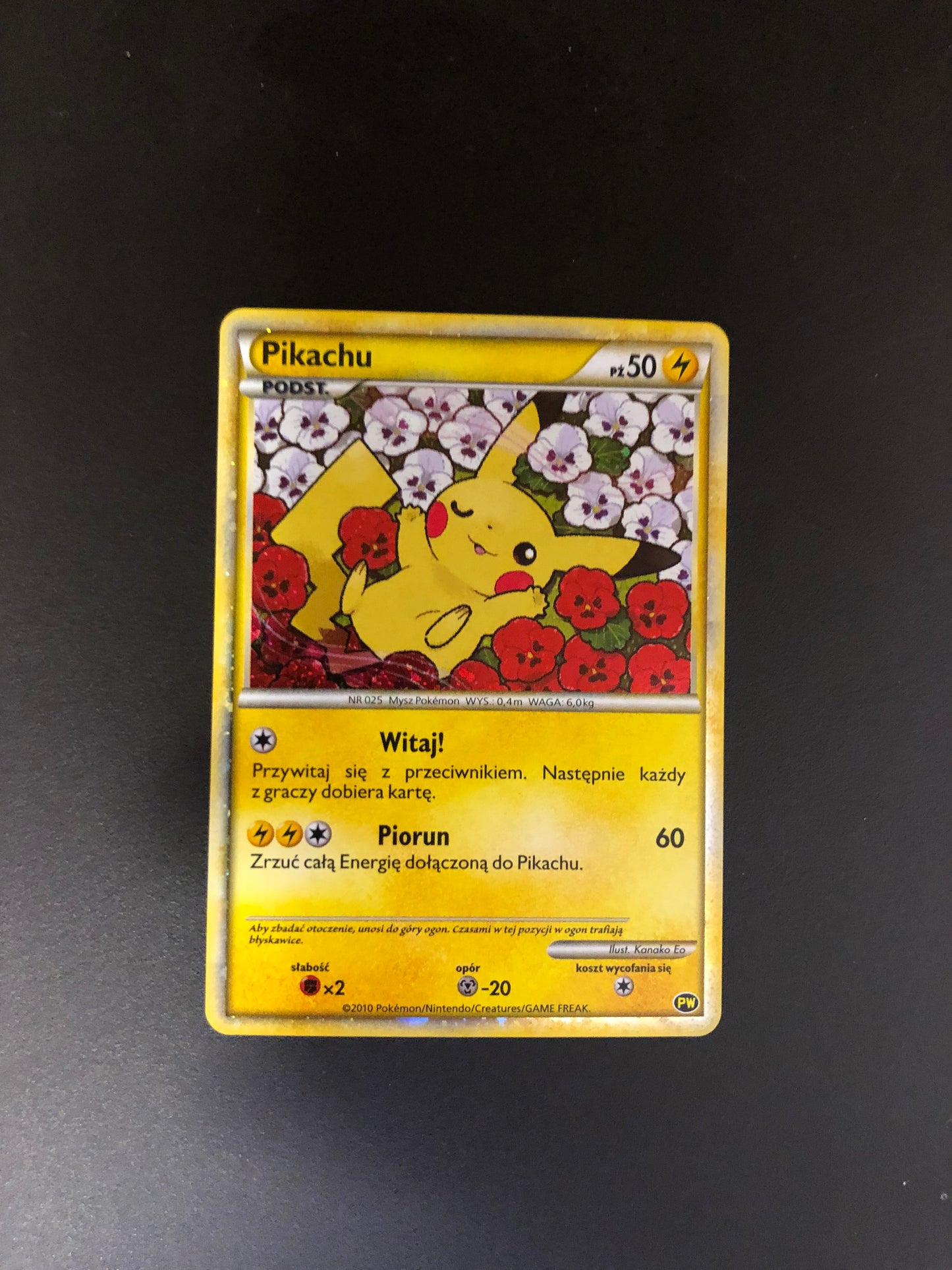 Pokemon Karte Word Collection Pikachu PW Polnisch