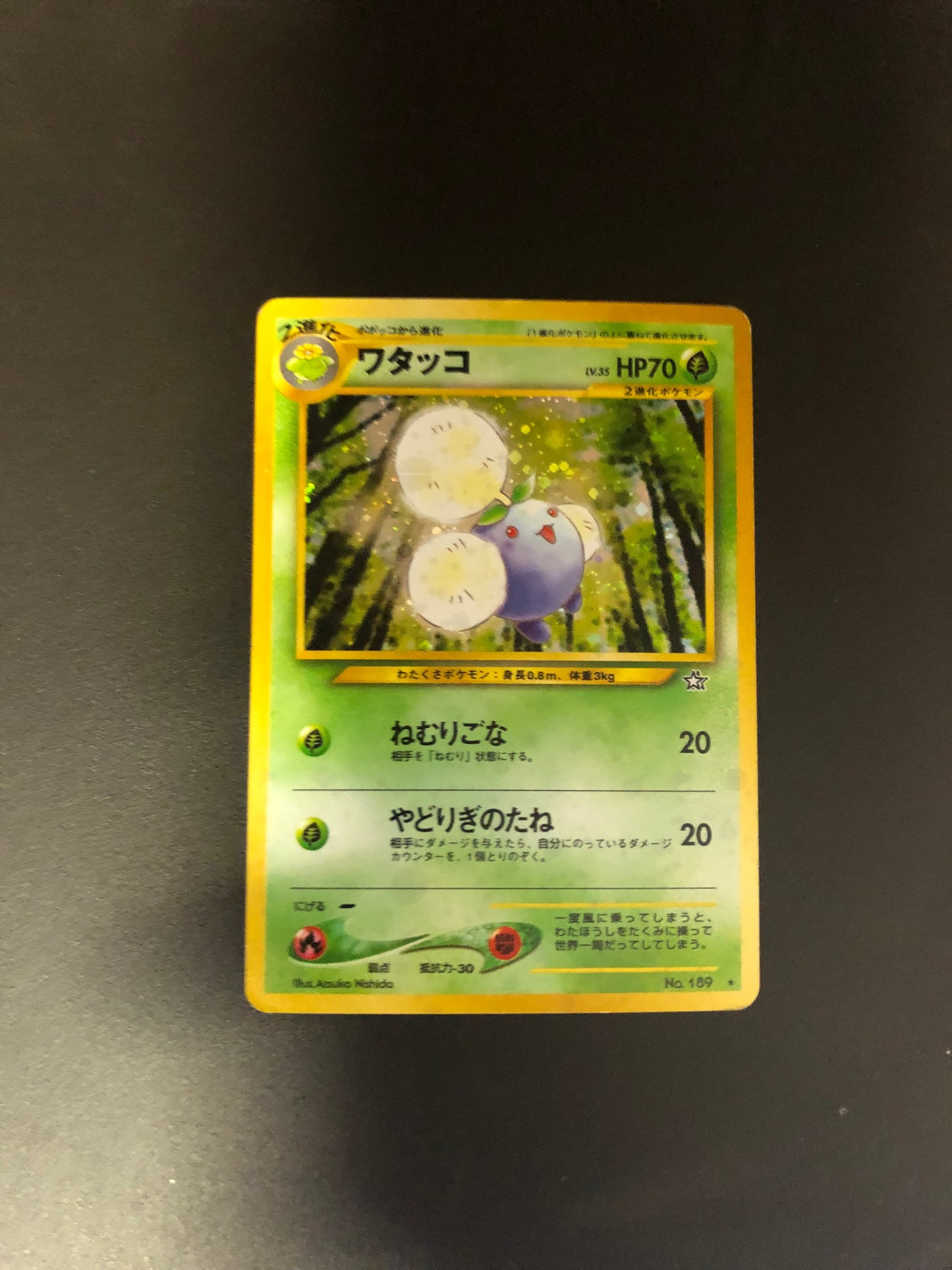 Pokemon Karte Holo Papungha No.189 japanisch