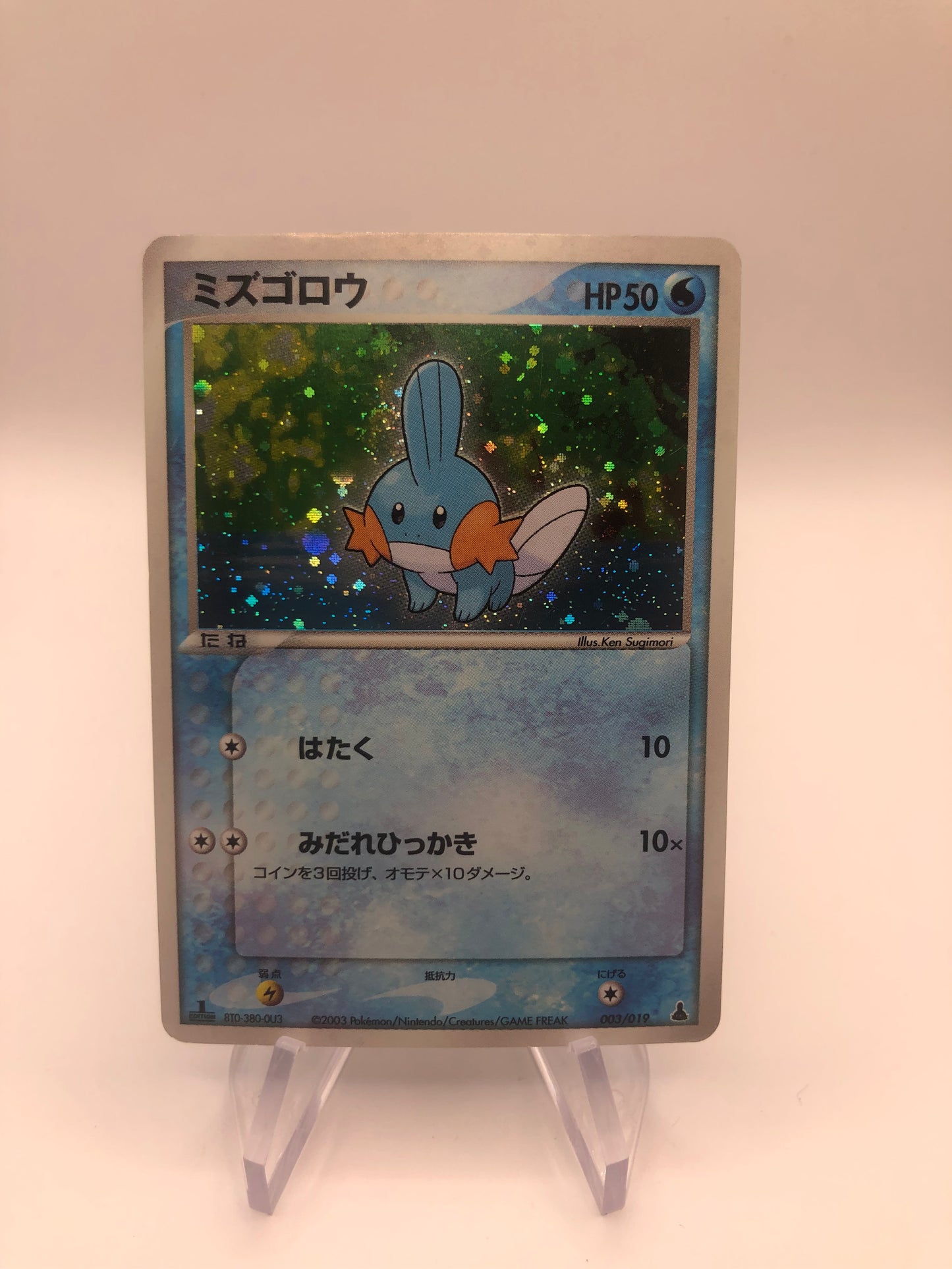 Pokemon Karte Holo Hydropi 3/19 Japanisch