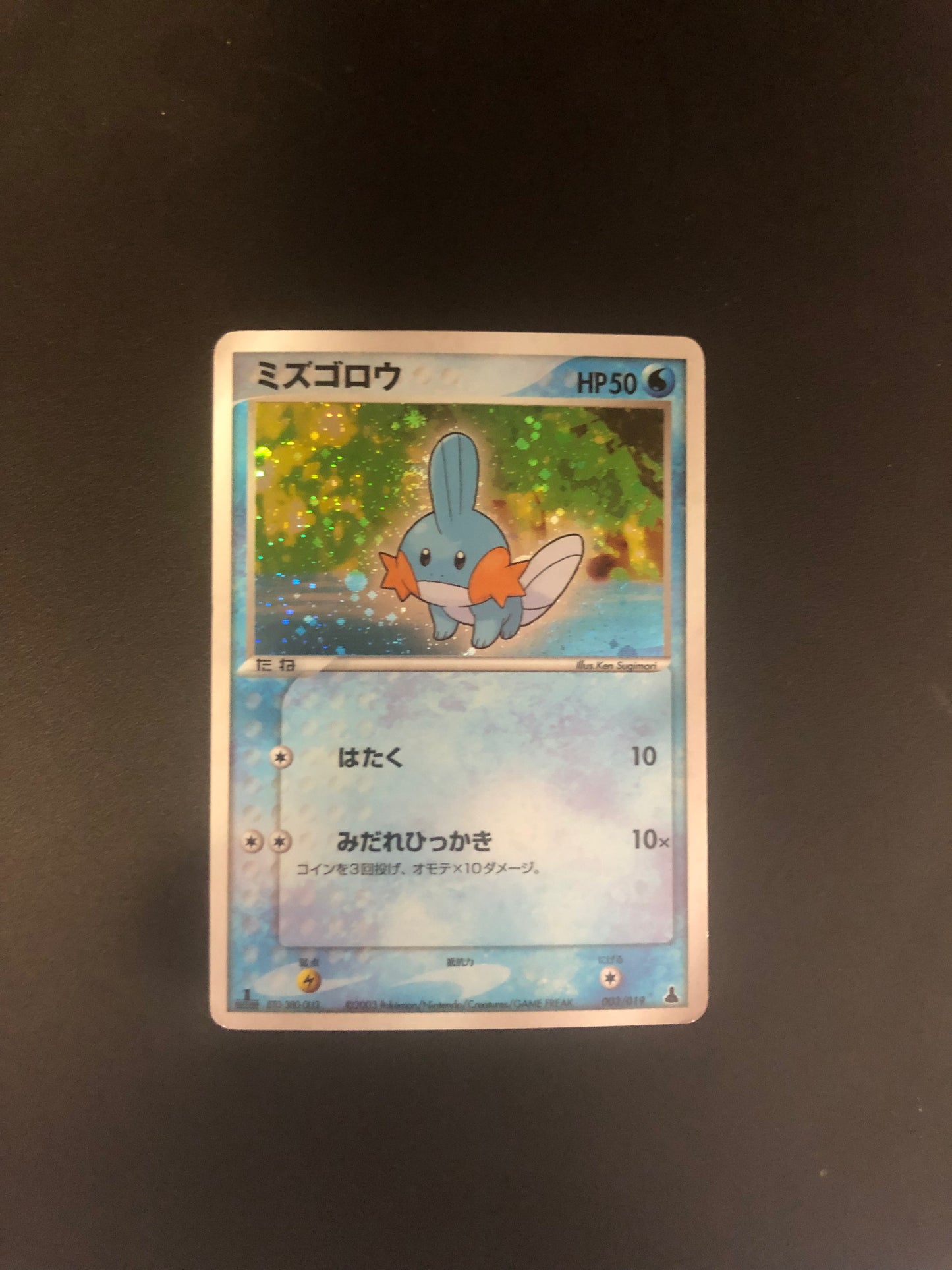 Pokemon Karte Holo Hydropi 3/19 Japanisch
