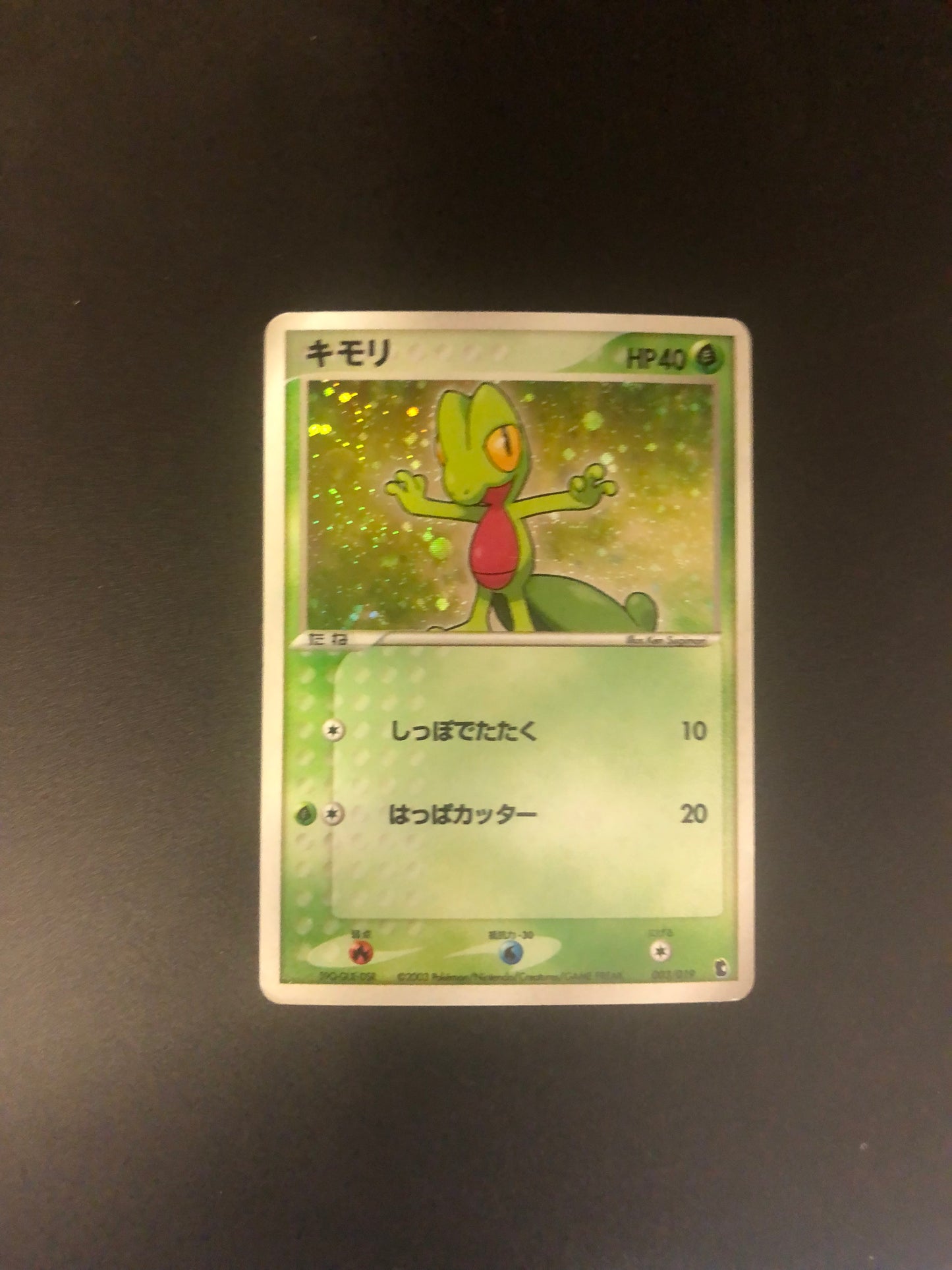 Pokemon Karte Holo Geckabor 3/19 Japanisch