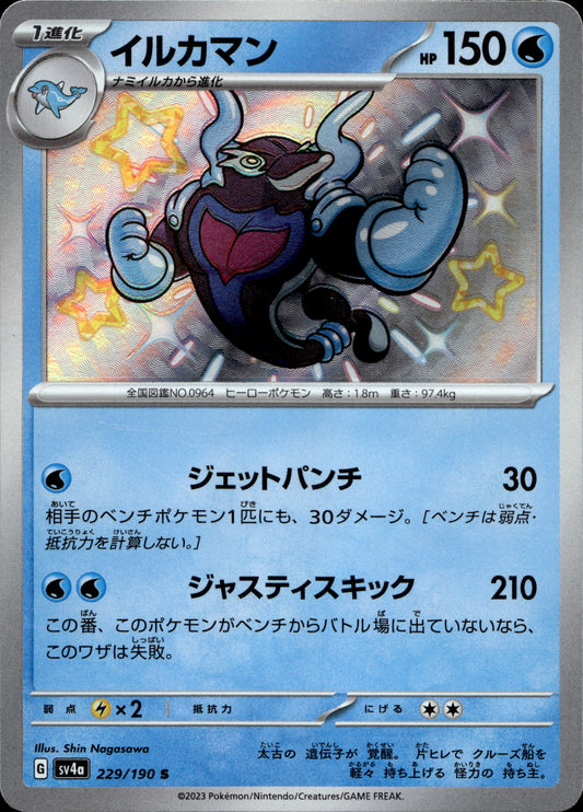Delfinator 229/190 Shiny Japanisch – Vorderseite