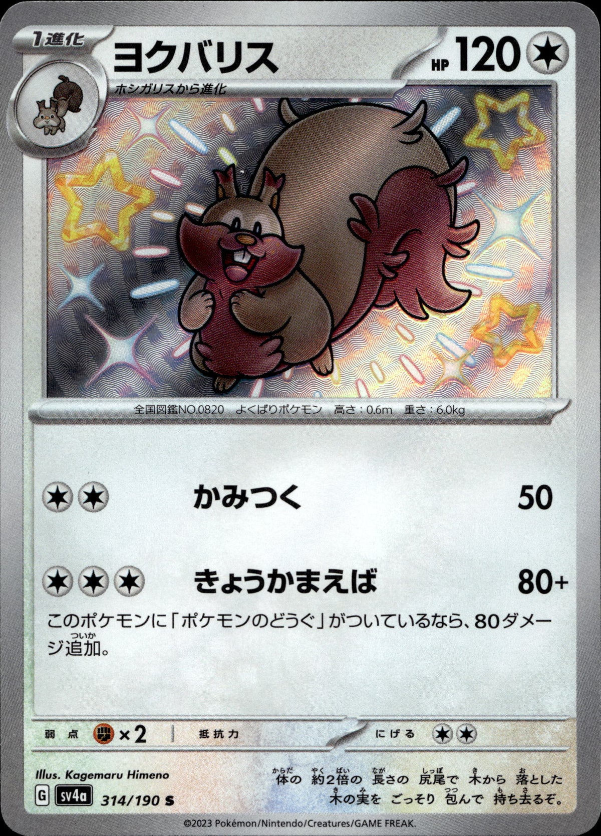 Schlaraffel 314/190 Shiny Japanisch – Vorderseite