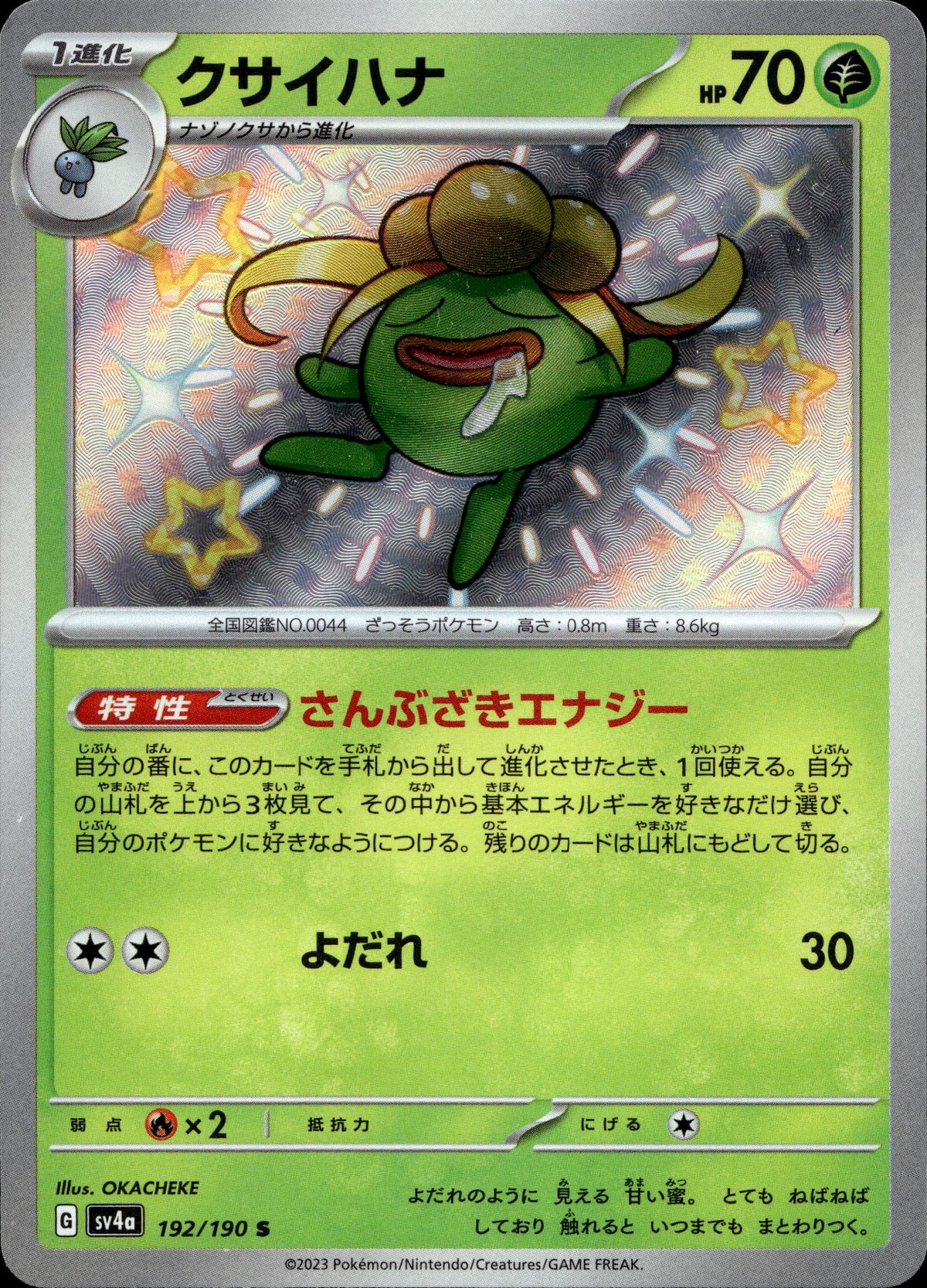 Duflor 192/190 Shiny Japanisch – Vorderseite